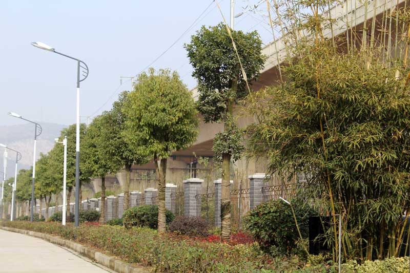 鸿运国际·(中国游)官方网站