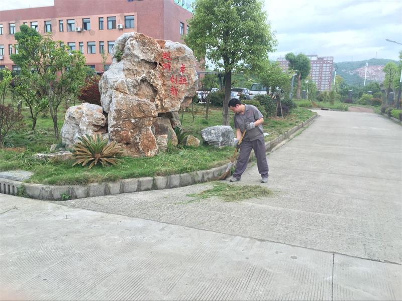 全员加入，，，，，，建设卫生厂区