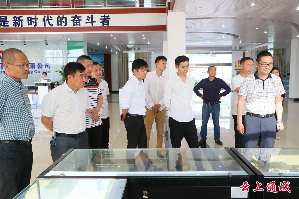 鸿运国际新能源有限公司一行来通城考察投资情形-鸿运国际