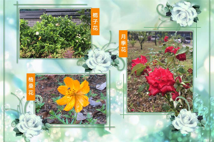 鸿运国际·(中国游)官方网站